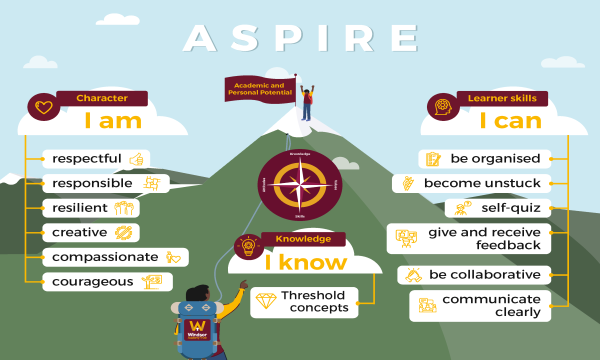 ASPIRE Framework
