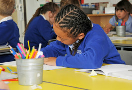 manor way primary academy results and performance